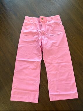 Maeve by Anthropologie Pink Wide-Leg faux leather Pants